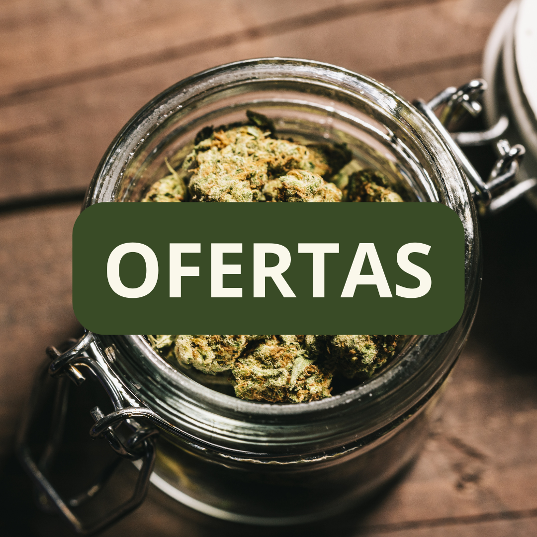 Cogollos de cáñamo en un bote con etiqueta de oferta de CBD Igualada, productos para ansiedad.