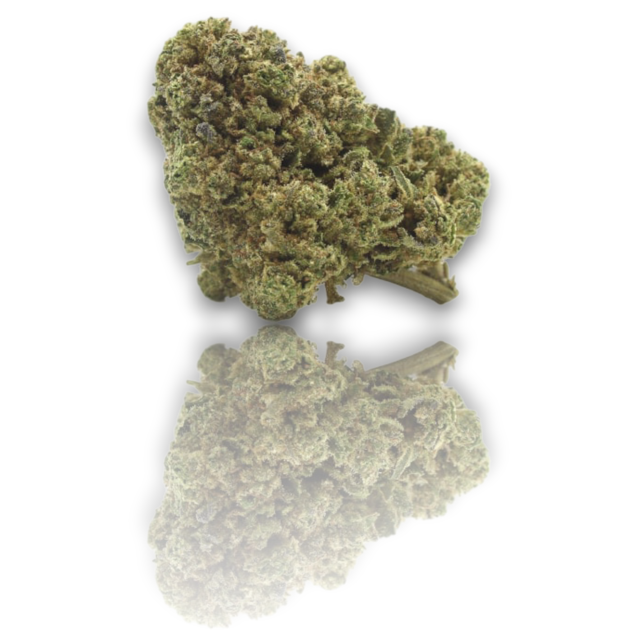Ice Cream medium buds