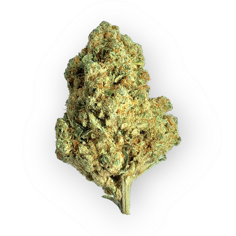 Amnesia Hydro