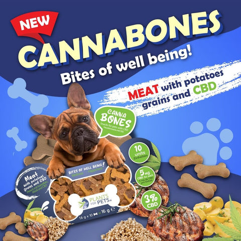 Galletas animales plantoflife