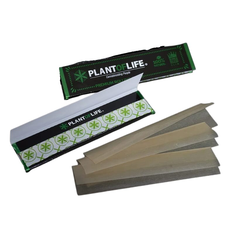 PAPER DE LIAR PLANOFLIFE