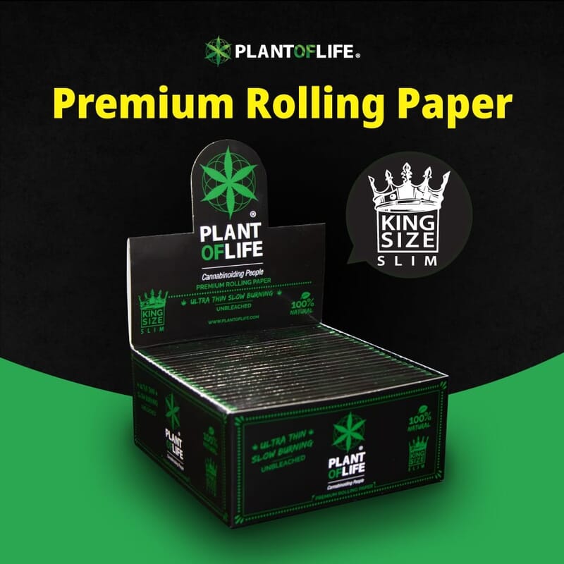 PAPER DE LIAR PLANOFLIFE