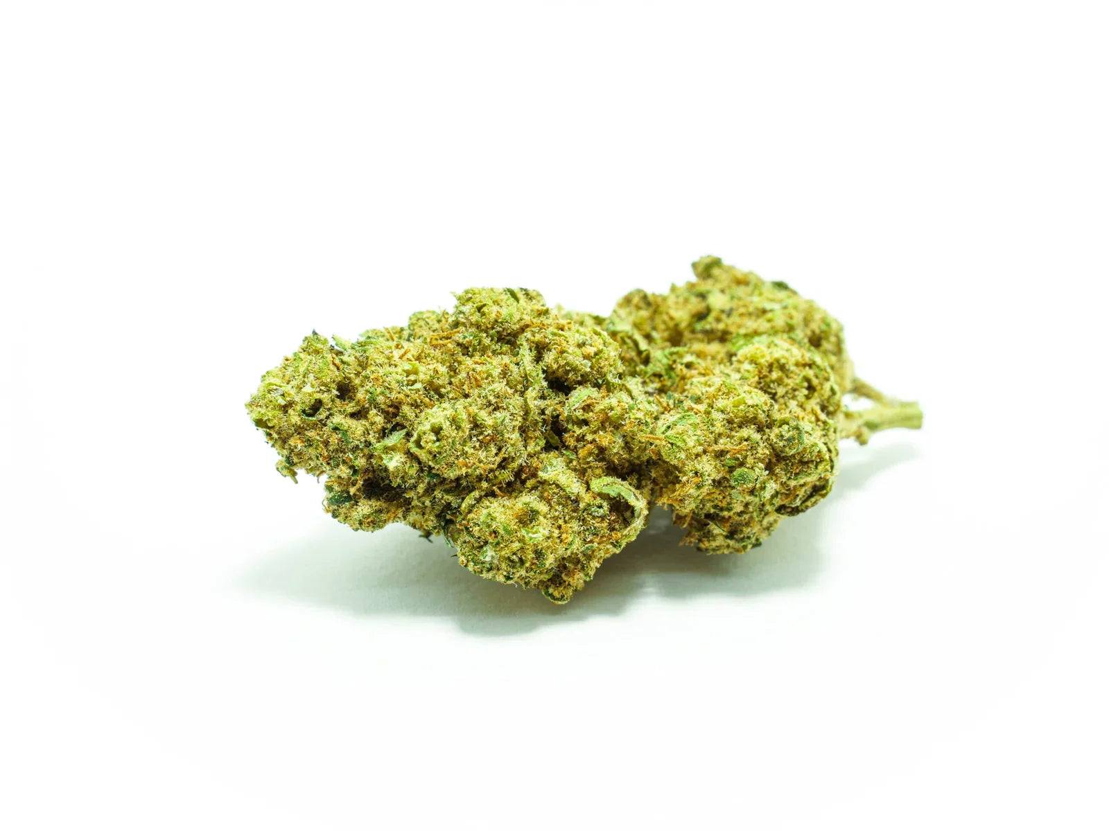 Gelato CBD smallbud
