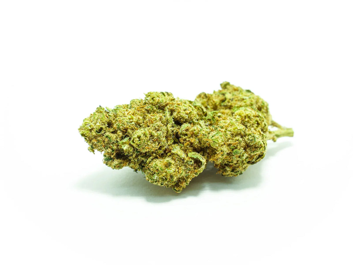 Gelato CBD smallbud